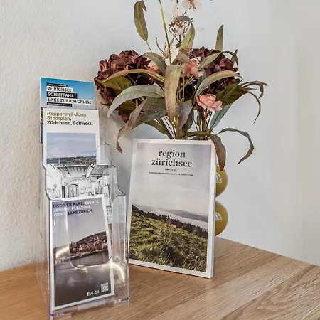 Apartment Zentrale Stadtwohnung In Rapperswil, Schloss Rapperswil (St. Gallen)