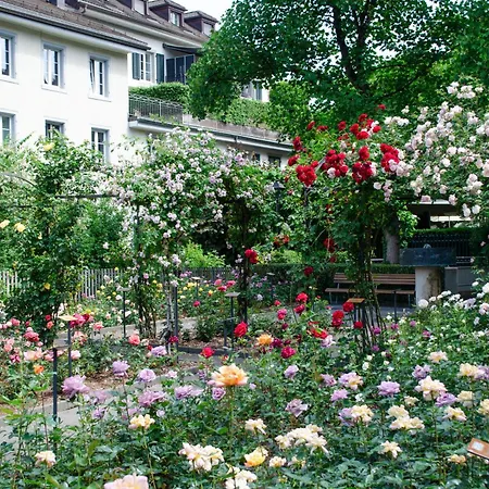 Zentrale Stadtwohnung In Rapperswil, Schloss Rapperswil (St. Gallen)