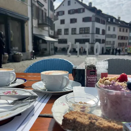 Zentrale Stadtwohnung In Rapperswil, Schloss Rapperswil (St. Gallen)